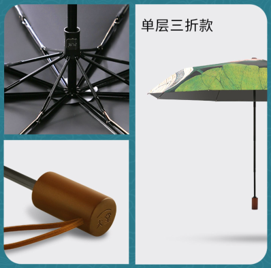 天堂荷花系列5.png